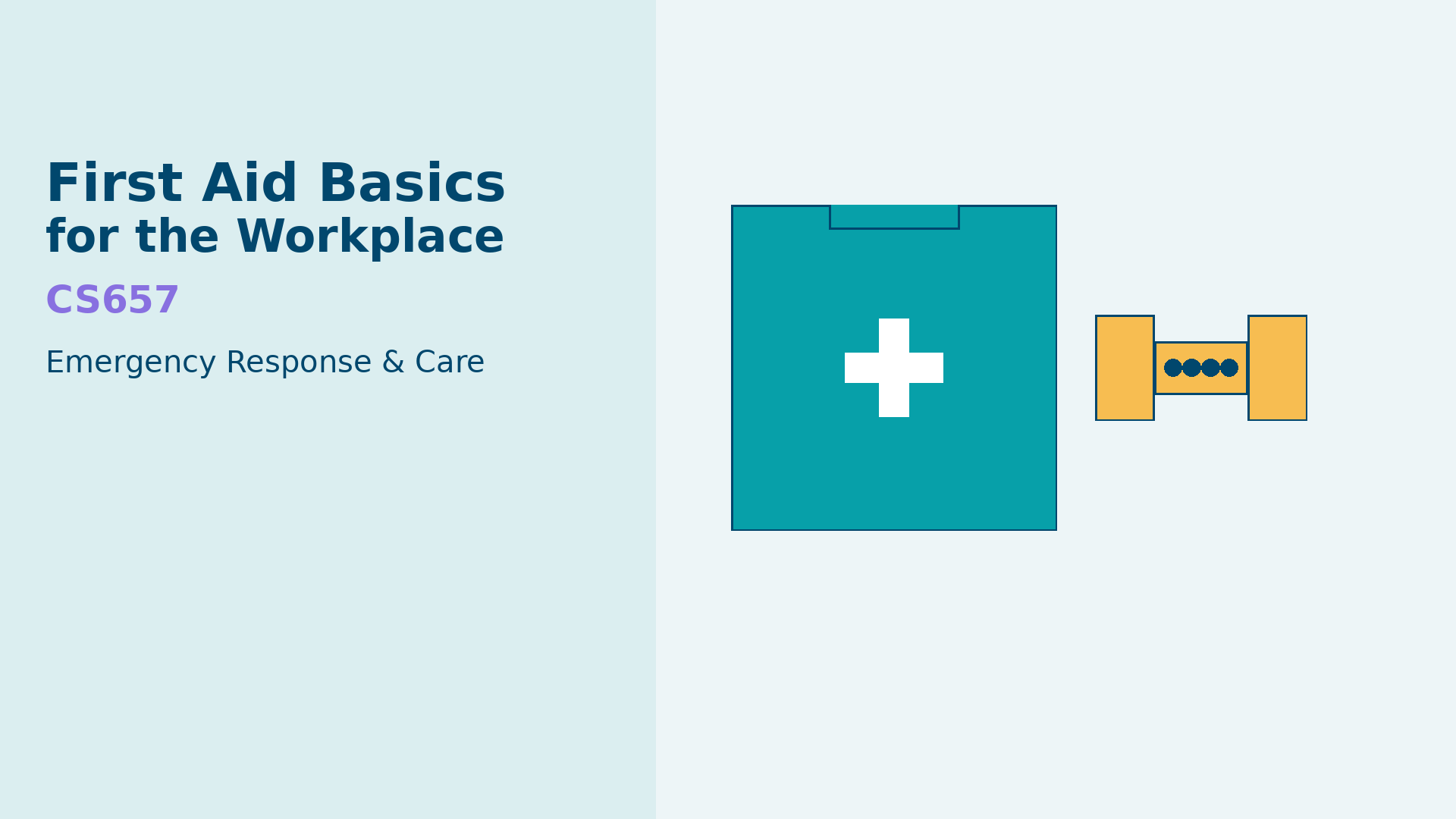 First Aid Basics for the Workplace - CS657